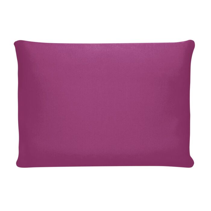 Coussin pour lit 40 x 60 cm, oreiller, lot de 2 oreillers intérieurs