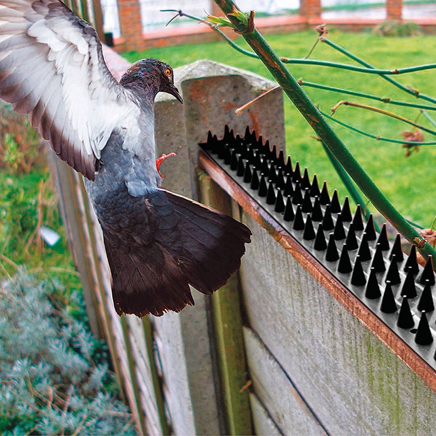 Pics anti pigeons et oiseaux, lot de 10 ⋆ Lehner Versand