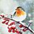 Serviettes Hello Robin