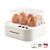 Cuiseur Gourmetmaxx pour 1 à 6 œufs