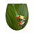 WC-Sitz Acryl Frog