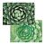 Sets en papier plantes grasses