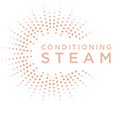5880069 Conditioning Steam