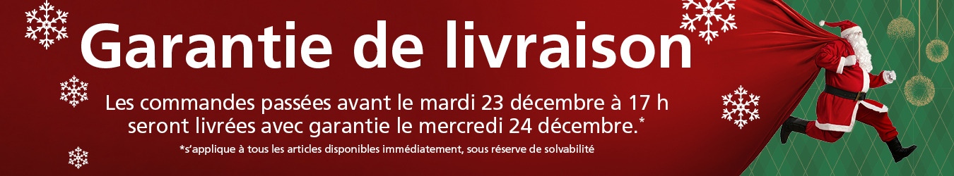 Garantie de livraison jusqu’à Noël