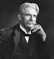 Albert Schweizer Zitat