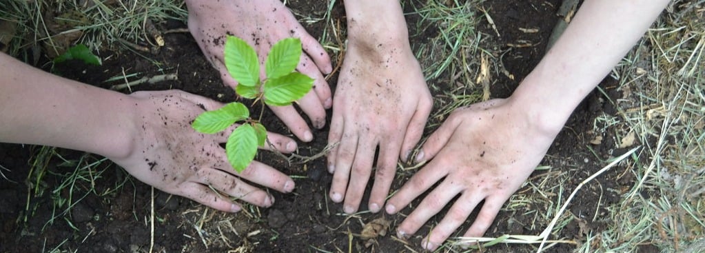 children plant trees